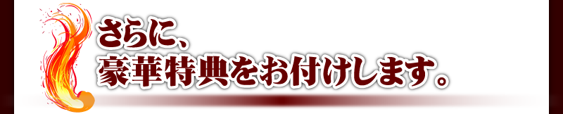 さらに豪華特典をお付けします。